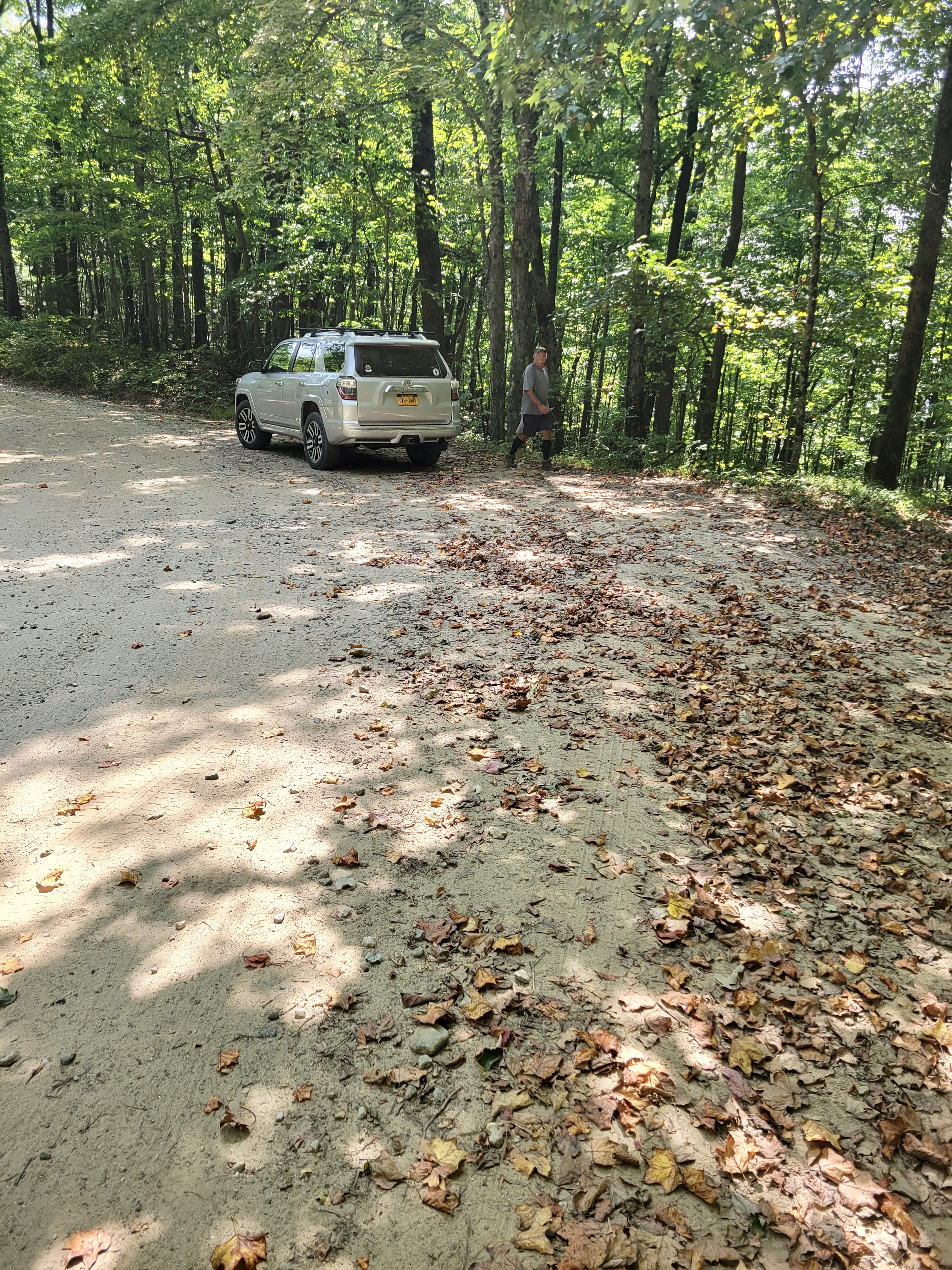 Pull-off parking on FS 42 for 2-3 cars 1.5 miles west of Horse Gap. Approximate location 34.662255, -84.123441  Courtesy cabincellars@yahoo.com