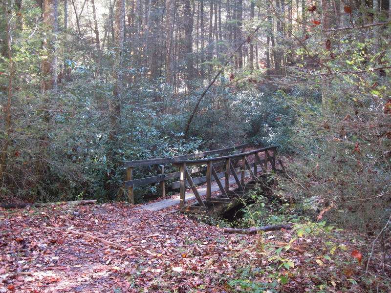 mm 4.8  Bridge across Stover Creek. This is the first of two crossings between here and USFS 42. Courtesy dlcul@conncoll.edu