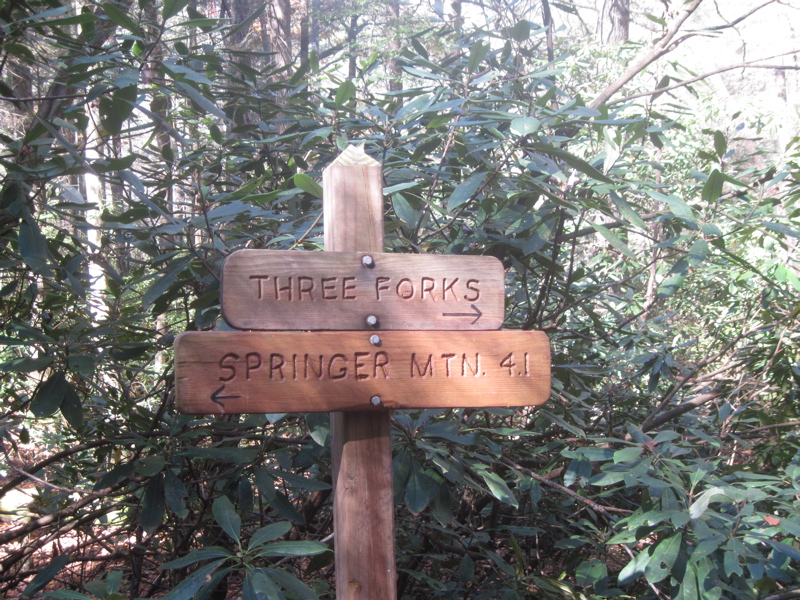 mm 4.3  Sign just west (trail south) of the crossing of USFS 58 at Three Forks.  Courtesy dlcul@conncoll.edu