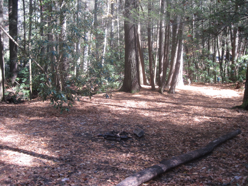 mm 4.0  Campsite next to Chester Creek at Three Forks.  Courtesy dlcul@conncoll.edu