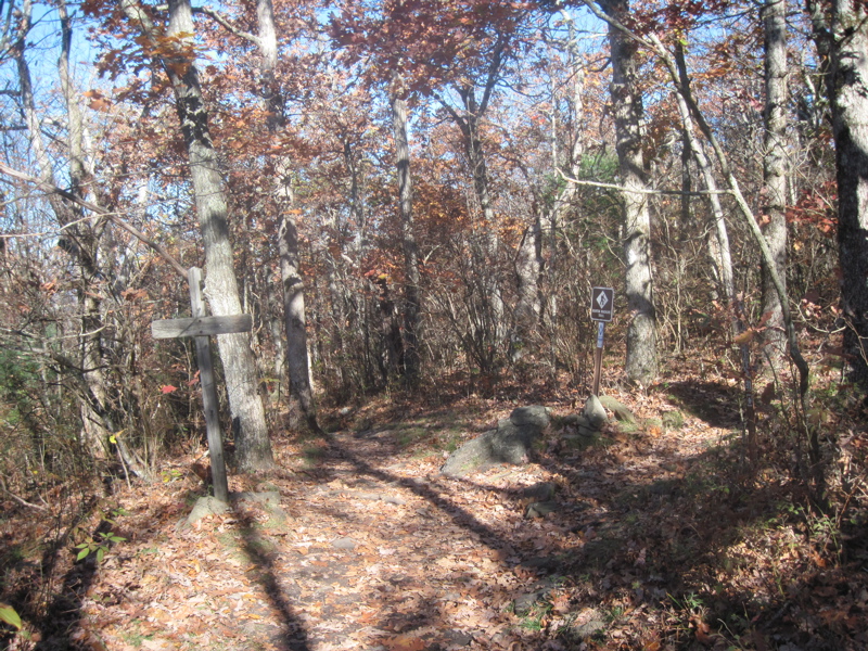mm 8.4  Junction 1 with the Benton MacKaye Trail. This is the southern terminus of the BMT trail which more or less follow the western ridge of the Appalachians.  The northern terminus is at Davenport Gap at the eastern boundary  Great Smoky Mountains National Park.  Courtesy dlcul@conncoll.edu