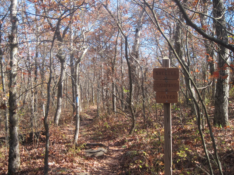 mm 8.4  Junction with the 0.2 miles long trail to Springer Mountain Shelter. I did not visit the shelter.  Courtesy dlcul@conncoll.edu