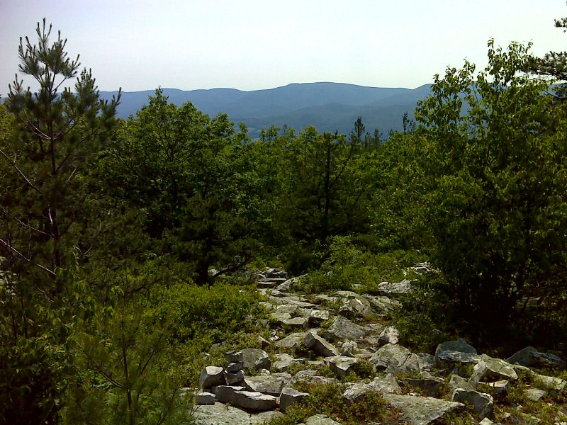 mm 1.3 View from Pine Cobble Trail 100 feet west of AT.   GPS N42.7270 W73.1612  Courtesy pjwetzel@gmail.com