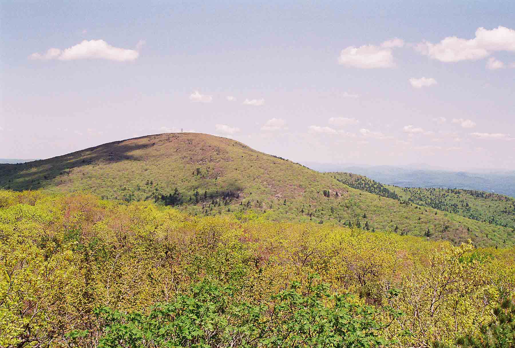 View north to the summit of Mt. Everett from the north side of Race Mt. Taken at approximately mm 6.3.  Courtesy dlcul@conncoll.edu