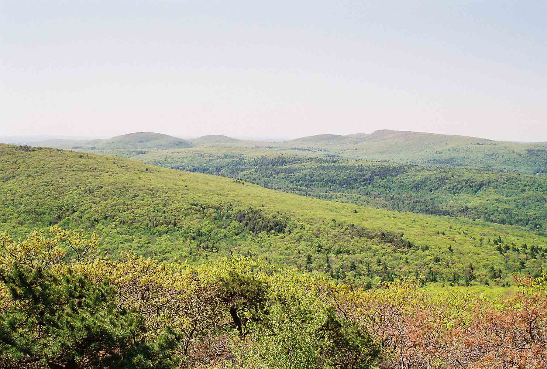 View of the Riga Plateau in the Tri-state region of CT, MA, and NY taken from the south side of Mt. Everett. This plateau is about a thousand feet above the Housatonic Valley to the east. A shoulder of Race Mt. is in the foreground. Sages Ravine crosses the center of the picture. The  peak on the left in the distance is Bear Mt. in CT. Those on the right are Round Peak and Mt. Frisell with Brace Mt. behind them. All three of those summits are in New York. Taken at approximately mm 4.7.  Courtesy dlcul@conncoll.edu