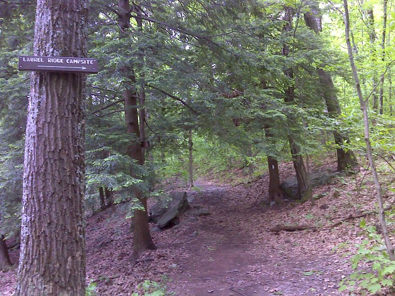 mm 8.3.Side trail to Laurel Ridge Campsite.   GPS N42.0605 W73.4374  Courtesy pjwetzel@gmail.com