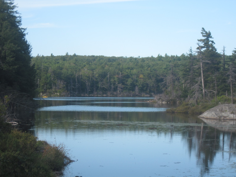 mm 3.9  Guilder Pond from the south end.  This is the highest elevation freshwater pond in MA.  This view is from the access road about a hundred yards west of the AT.  The pond is not visible from the AT itself,  Courtesy dlcul@conncoll.edu