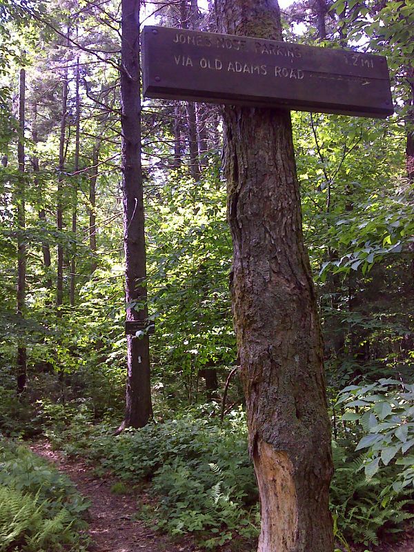 mm 10.5 Junction with the Old Adams Road side trail. This leads west 2 miles to the Jones Nose parking area. GPS 42.5984 W73.1776  Courtesy pjwetzel@gmail.com