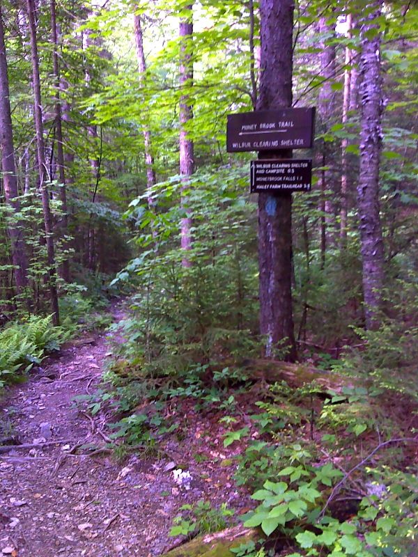 mm 3.0 Intersection with the Money Brook Trail. The Wilbur Clearing Shelter is 0.3 miles down this trail. GPS N42.6698 W73.1718  Courtesy pjwetzel@gmail.com