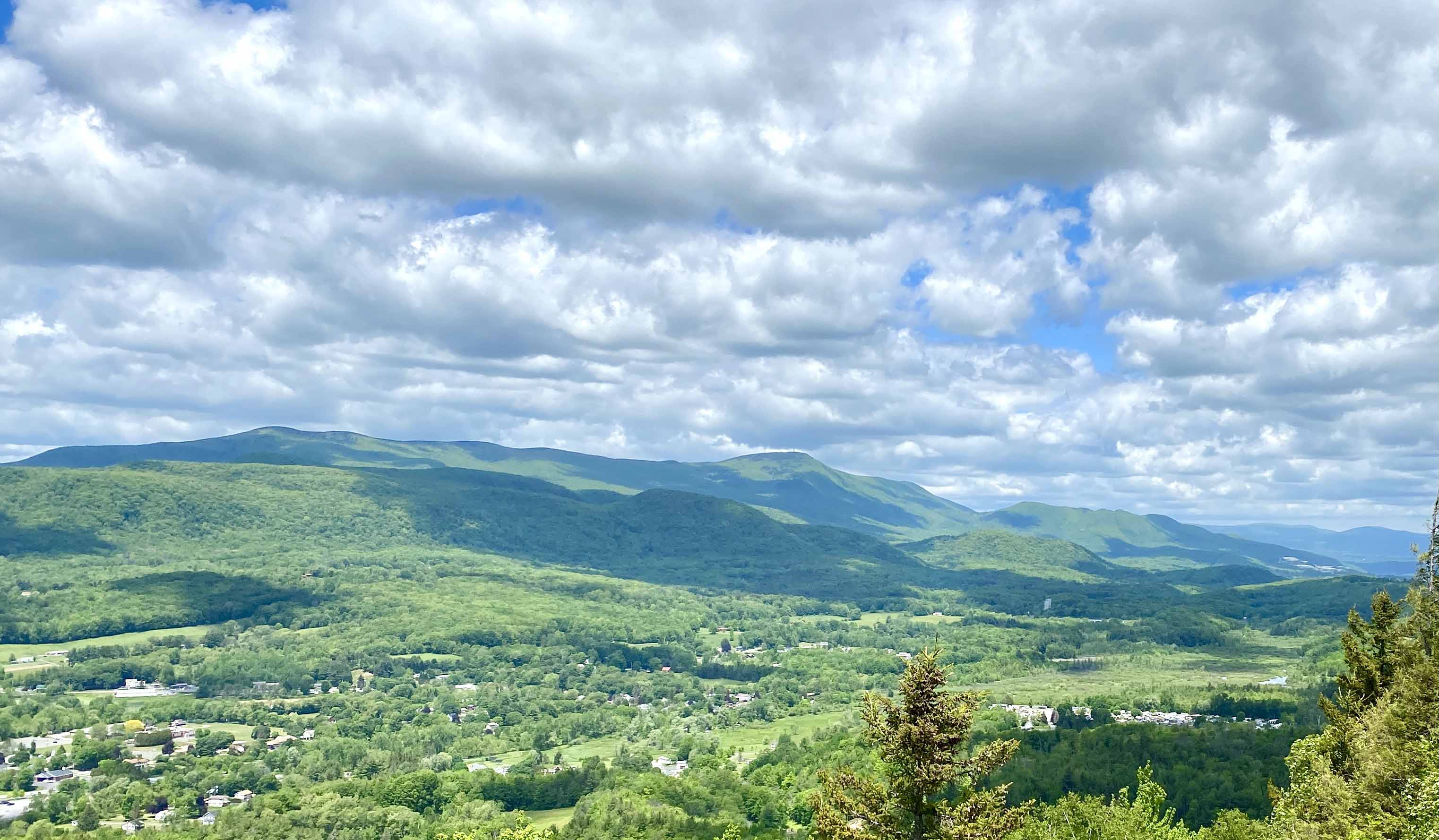mm 1.7 View of Mount Greylock from the Cobbles Overlook side trail  Courtesy WardandDA@gmail.com