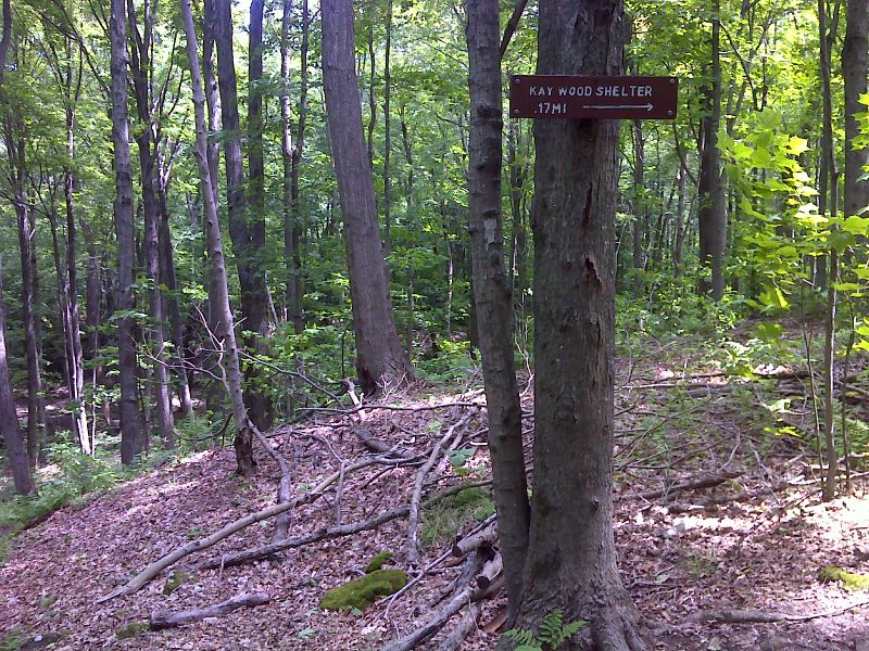 mm 3.0  Side trail to Kay Wood Shelter. GPS N42.4534  W73.1638  Courtesy pjwetzel@gmail.com