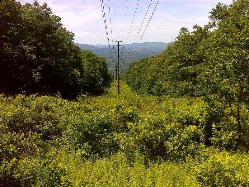 mm 3.1 View west towards Pittsfield from power line clearing. GPS N42.4499  W73.1661  Courtesy pjwetzel@gmail.com