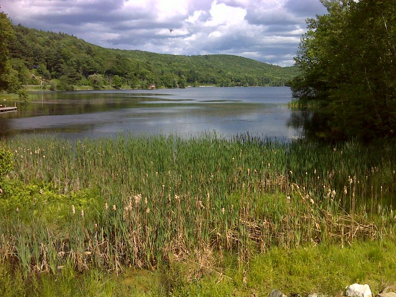mm 0.4 Greenwater Pond in late Spring (June 2012).  GPS N42.2894 W73.1570  Courtesy pjwetzel@gmail.com