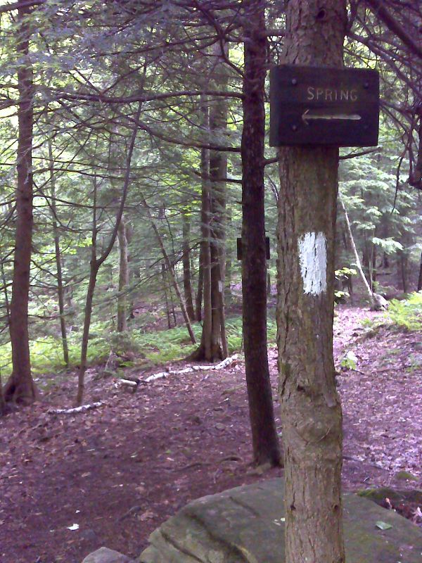mm 5.2 Side trail to spring south of Goose Pond Road. GPS N42.2670 W 73.1827   Courtesy pjwetzel@gmail.com
