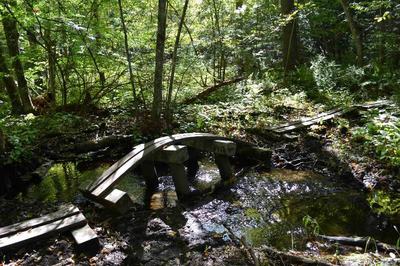 Unique bridge - watch out on the downward slope. N 42.08.839 W 73.23.557 el. 784  Courtesy at@rohland.org