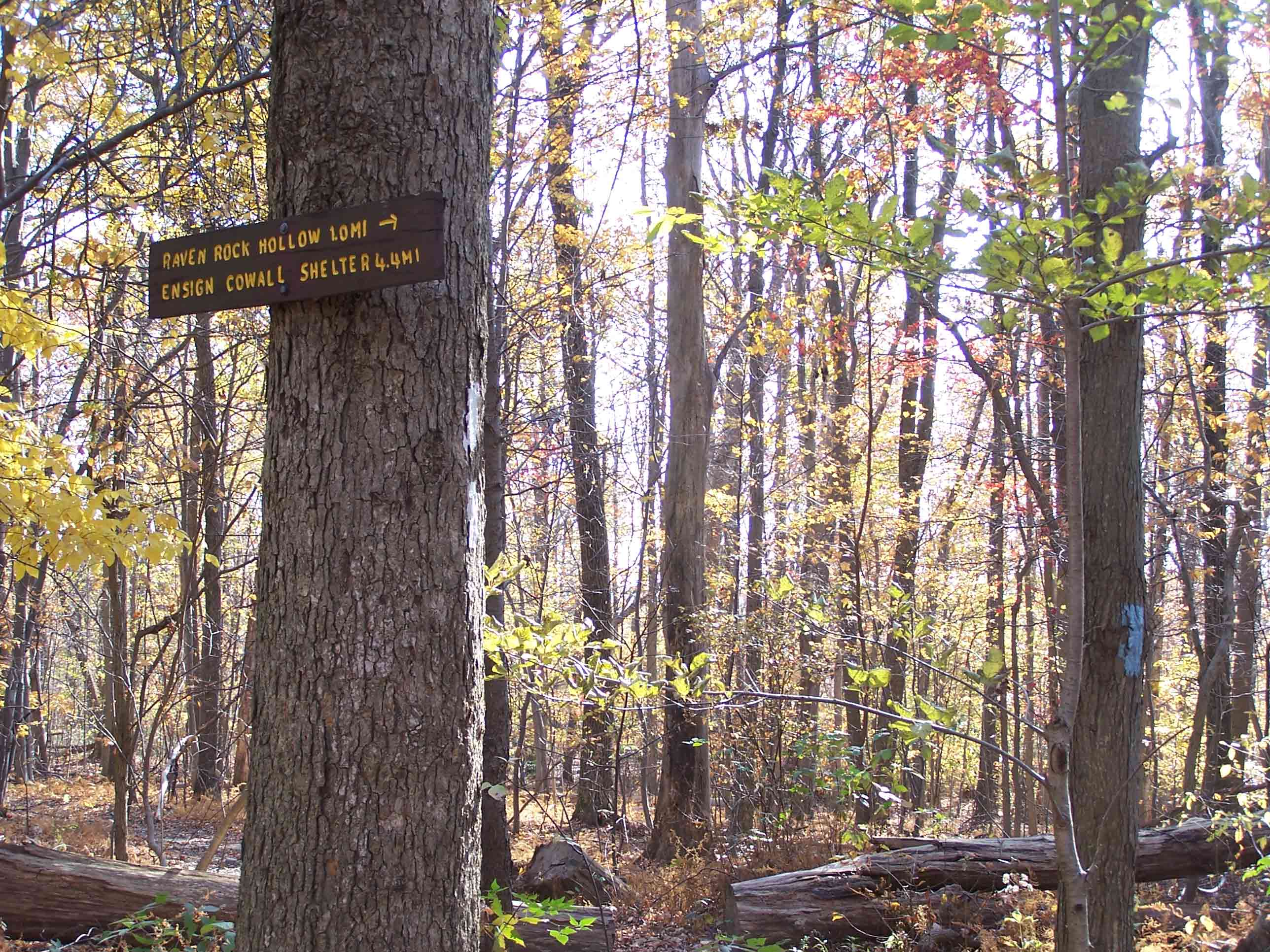 mm 4.9 - Sign at blue-blazed trail to Devil's Racecourse shelter. Courtesy at@rohland.org