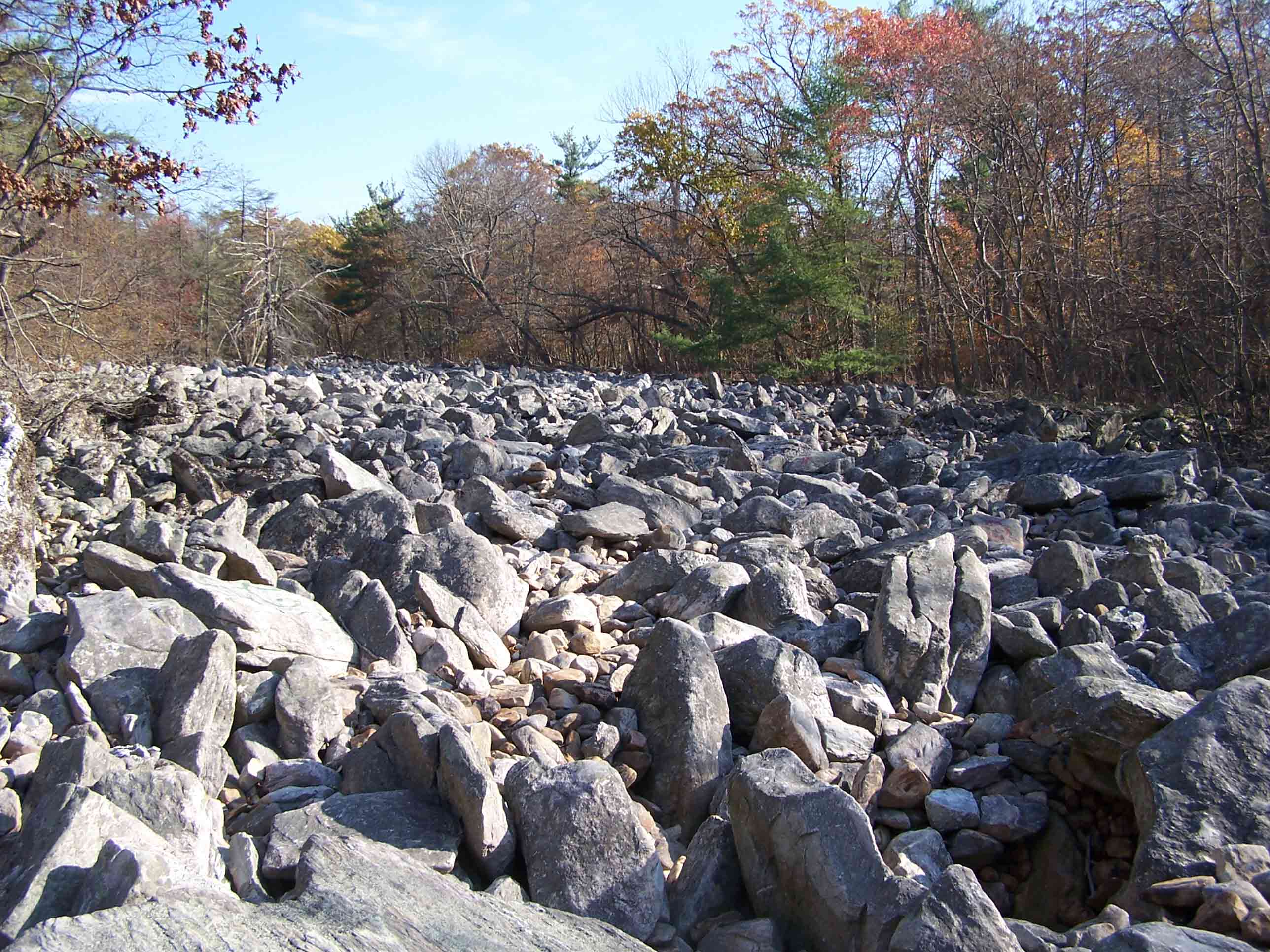 Devil's Racecourse boulder field. Courtesy at@rohland.org