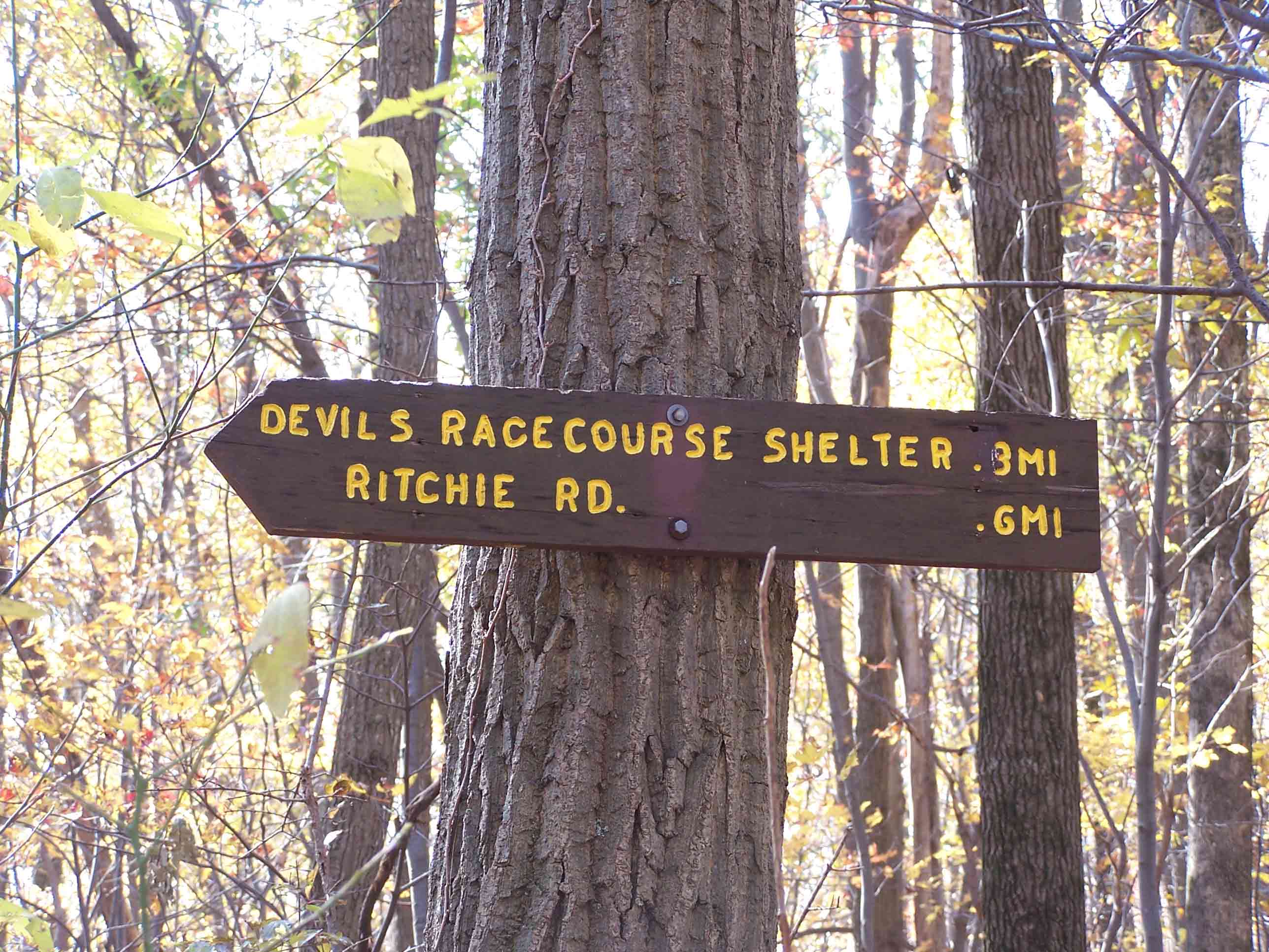 mm 4.9 - Sign for blue-blazed shelter trail. Courtesy at@rohland.org