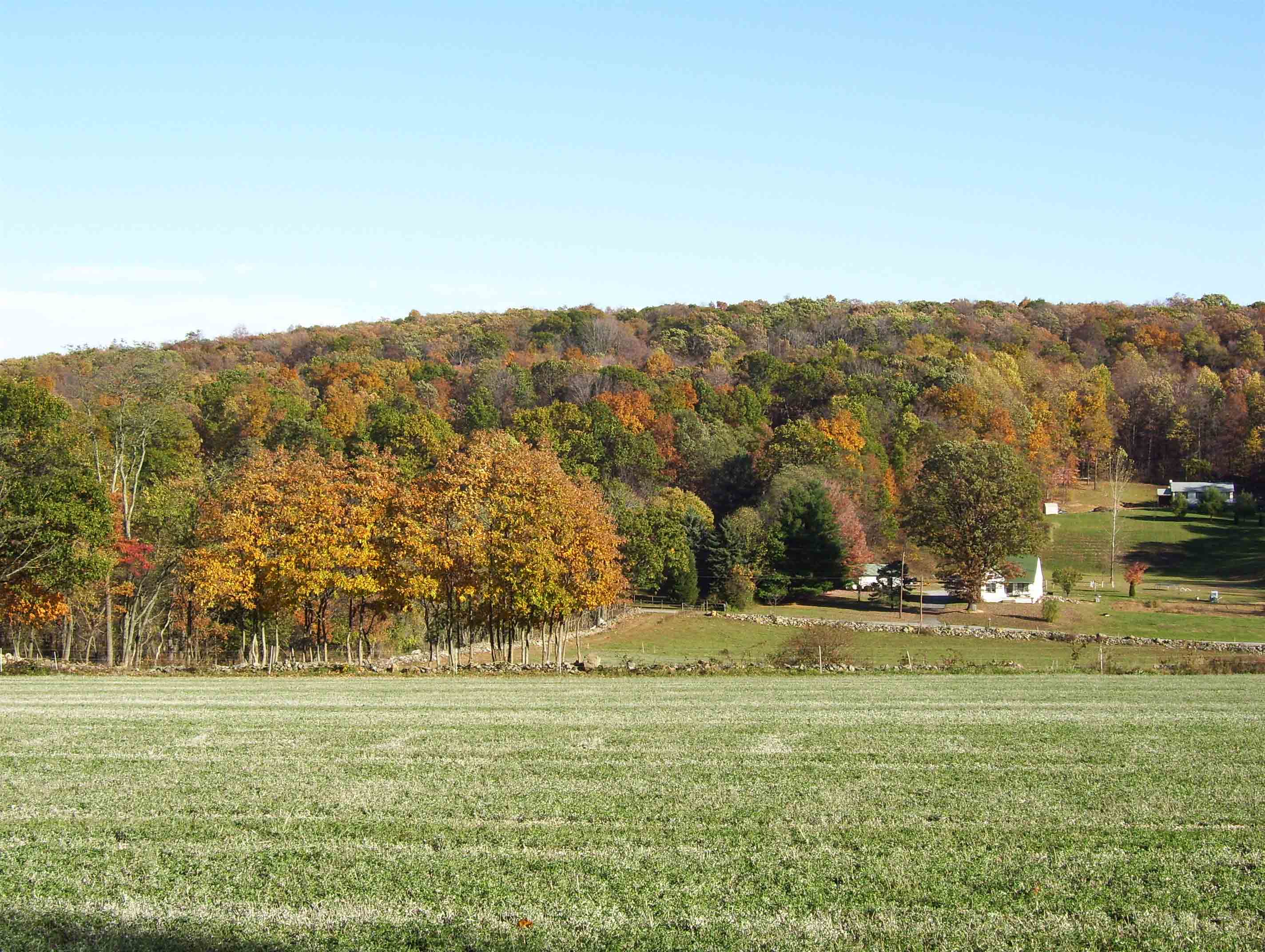 Fall view (11/3/07) looking east from field just south of MD 77. Taken at approx. mm 2.8.  Courtesy dlcul@conncoll.edu