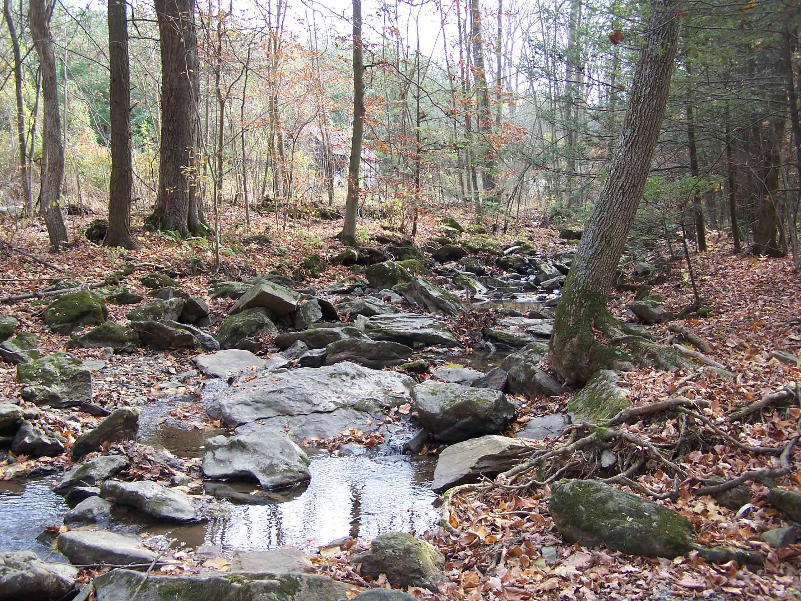 mm 0.9 - Tributary of Little Antietam Creek. Courtesy at@rohland.org