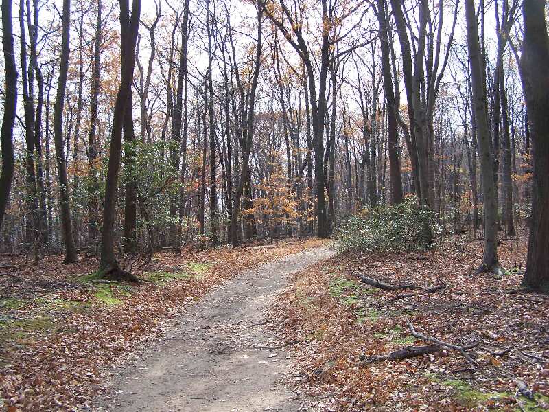 Trail south of Annapolis Rocks. Courtesy at@rohland.org