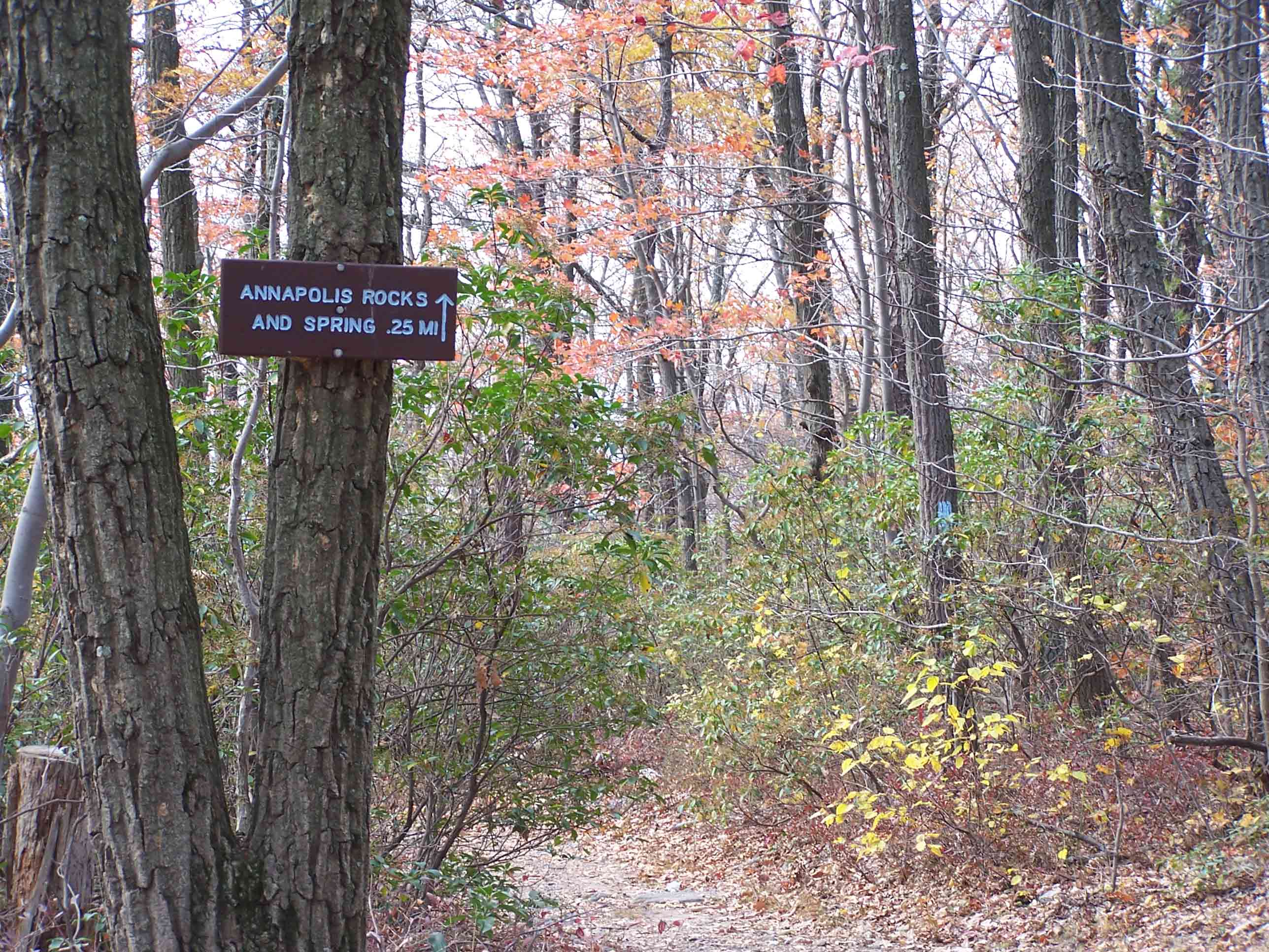 mm 6.3 - Sign for blue-blazed trail to Annapolis Rocks. Courtesy at@rohland.org