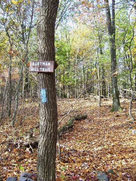 The Bartman Hill Trail (Mile 0.5) descends 0.6 miles to Greenbrier State Park.  Courtesy dlcul@conncoll.edu