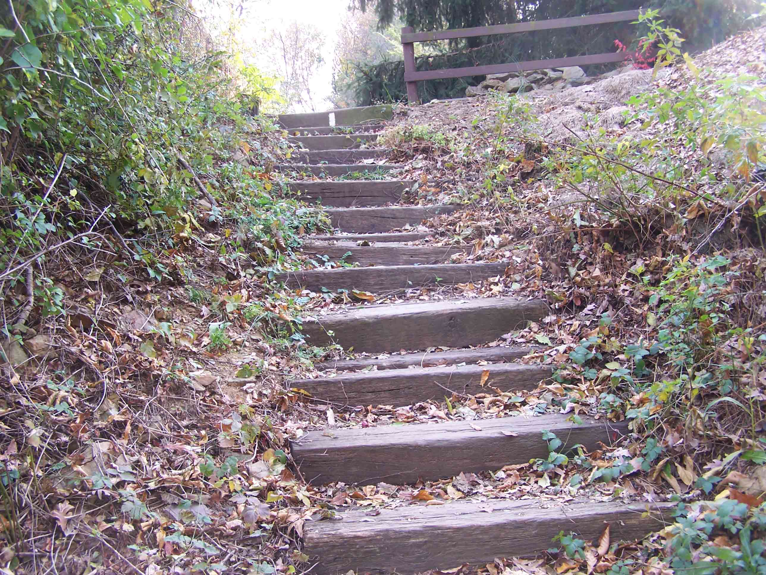Steps after crossing I70. Courtesy at@rohland.org