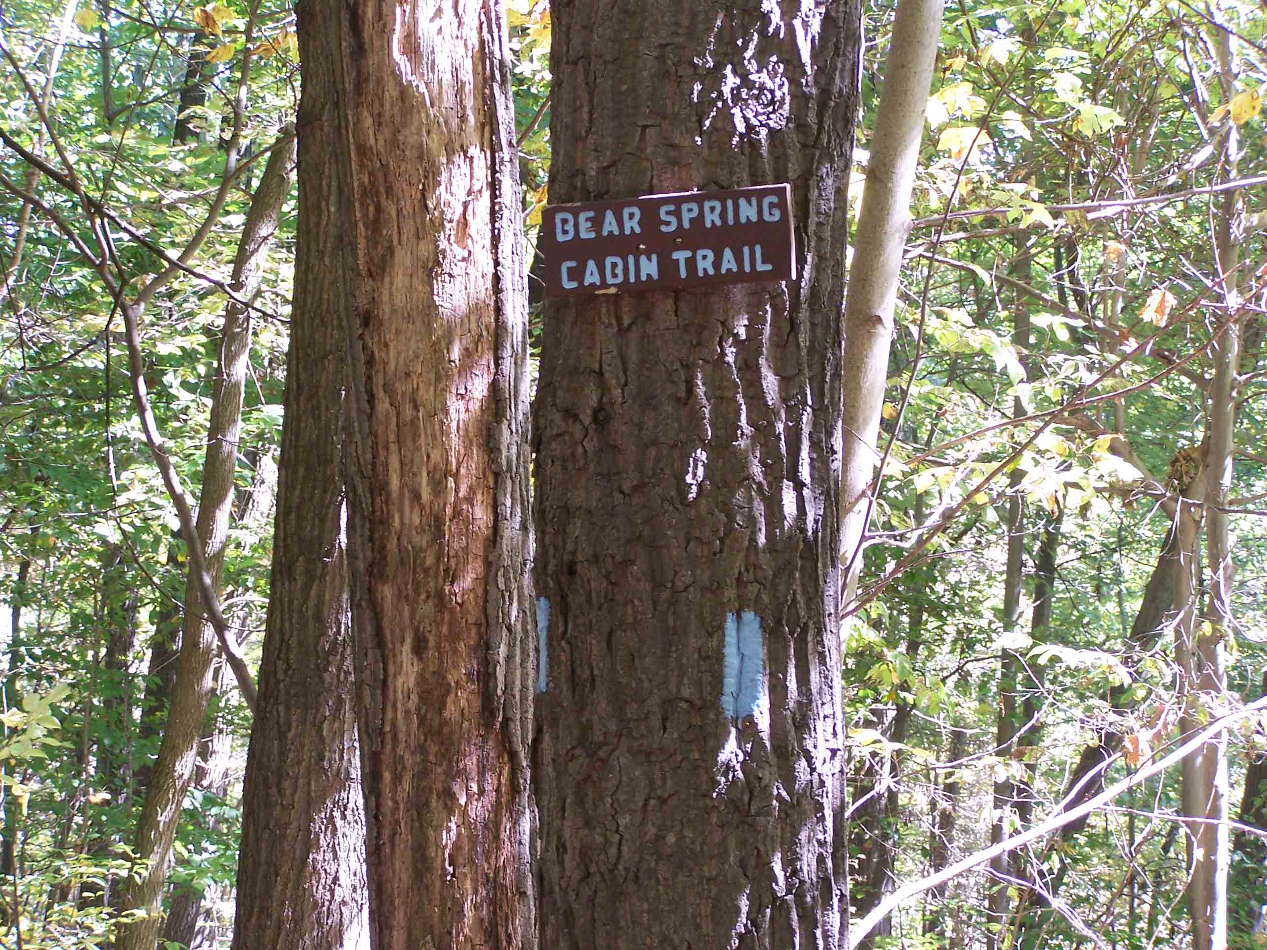 mm 4.4 - Bear Spring Cabin Trail.