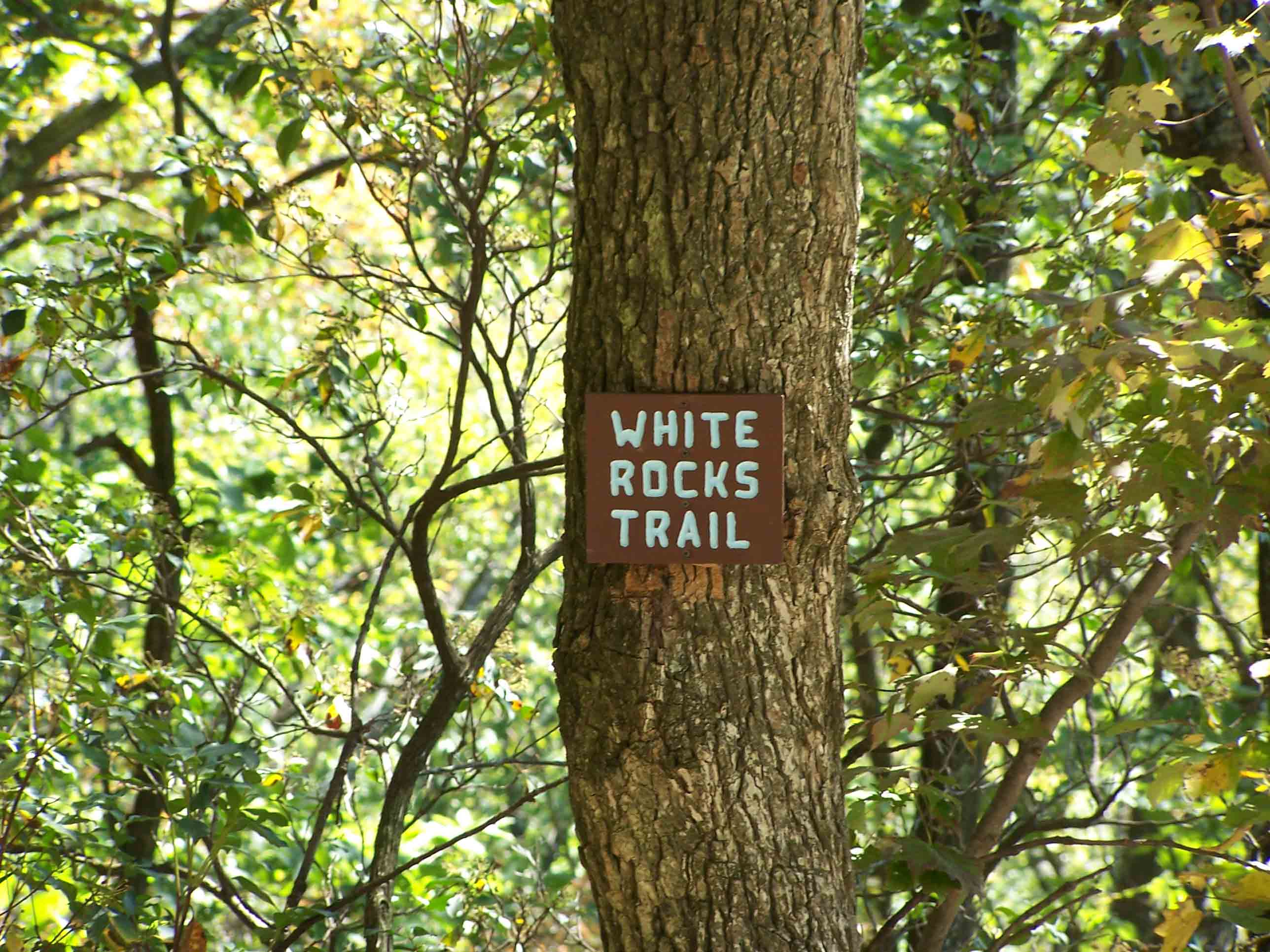 mm 3.8 - Blue-blazed White Rocks Trail. Courtesy at@rohland.org