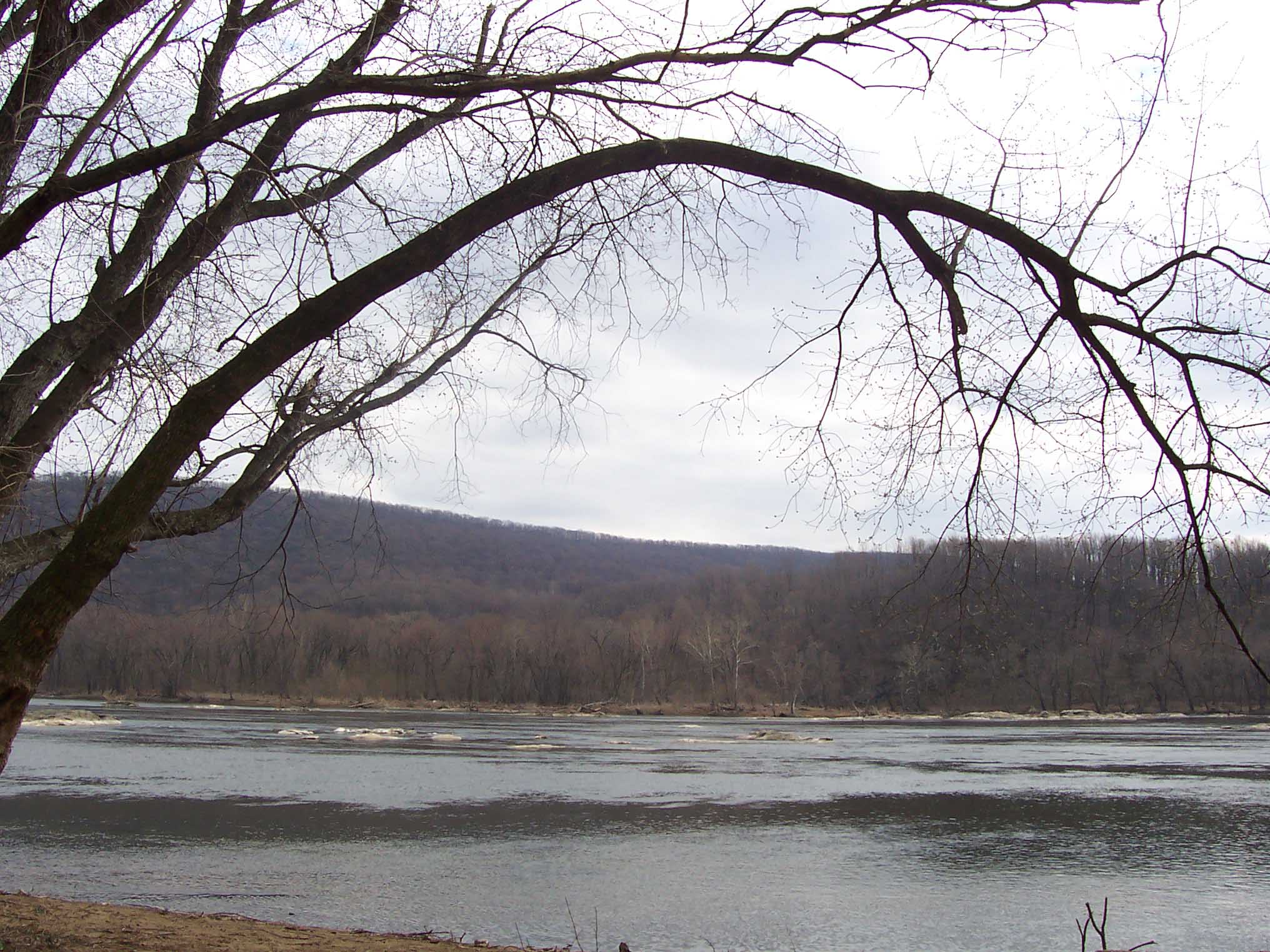 Potomac River.  Courtesy dlcul@conncoll.edu