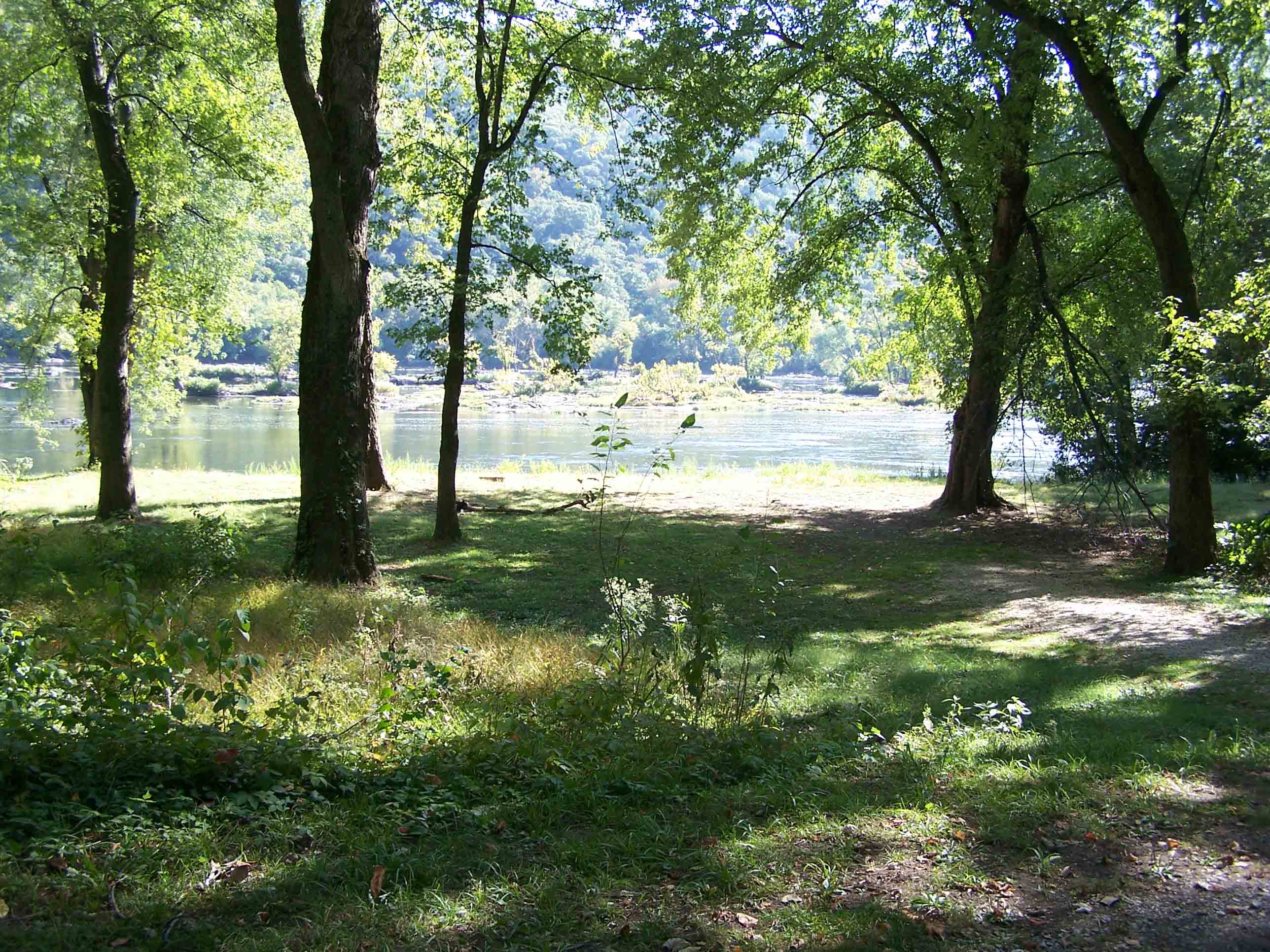 Grassy area along the Potomac River that can NOT be used for a campground. There is NO camping in this section. The river is polluted. Courtesy at@rohland.org
