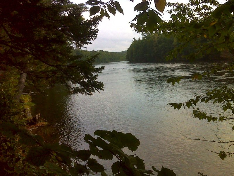 Trail closely follow the West Branch of the Penobscot River.  GPS N45.8472 W69.0171  Courtesy pjwetzel@gmail.com
