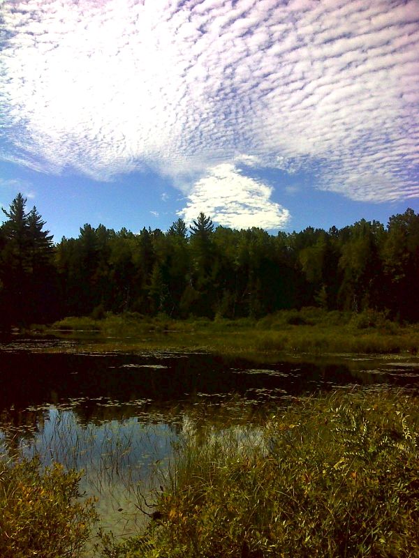 Boggy area of Cooper Brook. Clouds steal the scene.  GPS N45.6561 W69.0024   Courtesy pjwetzel@gmail.com