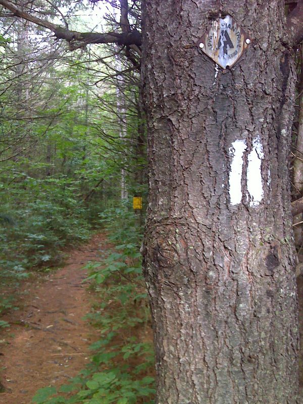 Old metal trail sign near US 201. GPS N45.2350 W69.9967  Courtesy pjwetzel@gmail.com