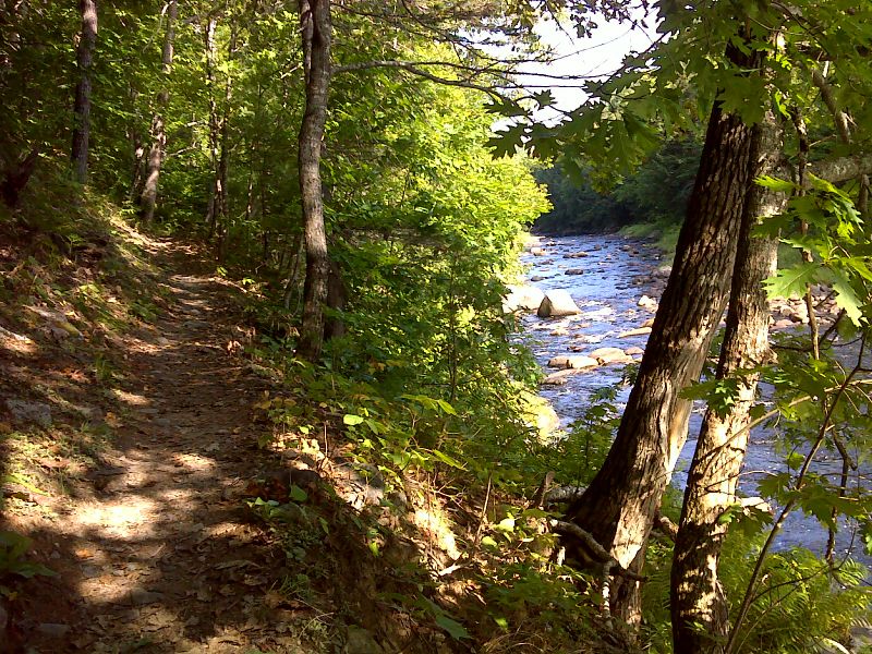 Trail along the West Branch of the Piscataquis River. GPS 45.2870 W69.6172  Courtesy pjwetzel@gmail.com
