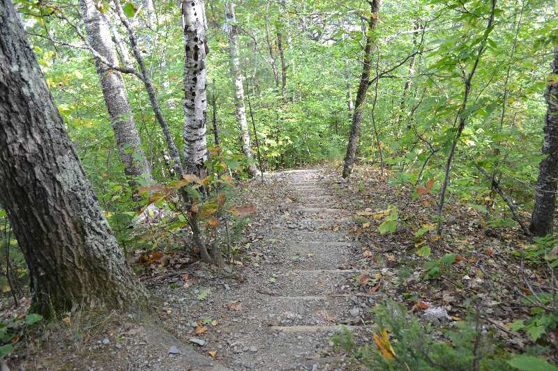 Steps on trail close to the Kennebec River GPS N45.23568 W70.00317  Courtesy at@rohland.org