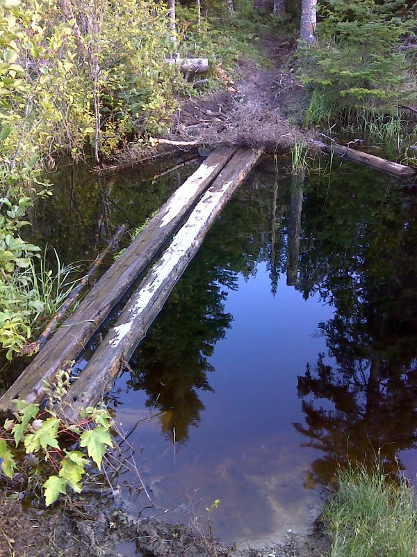 Poor trail conditions which existed in August 2012. The bog bridges were floating which makes crossing difficult.  This is just trail north of Bog Brook Road.  GPS N45.1355 W70.1681.  Courtesy pjwetzel@gmail.com
