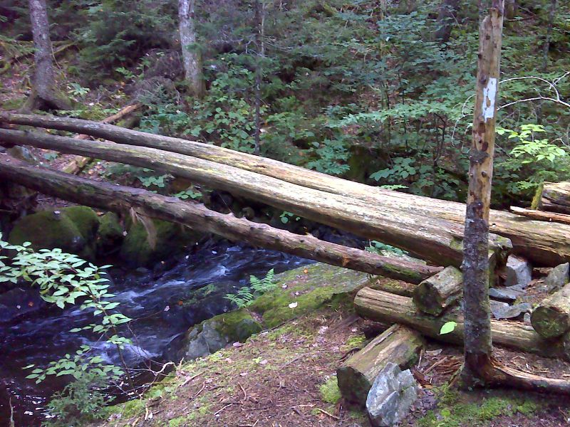 A sketchy footbridge with a slippery log and low log railings. Taken at approx. mm 2.0 GPS 45.2418 W 70.0274  Courtesy pjwetzel@gmail.com