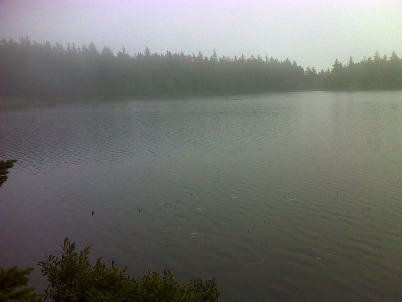 mm 34.3 South Pond on a very overcast day. GPS N44.8878  W70.5690  Courtesy pjwetzel@gmail.com
