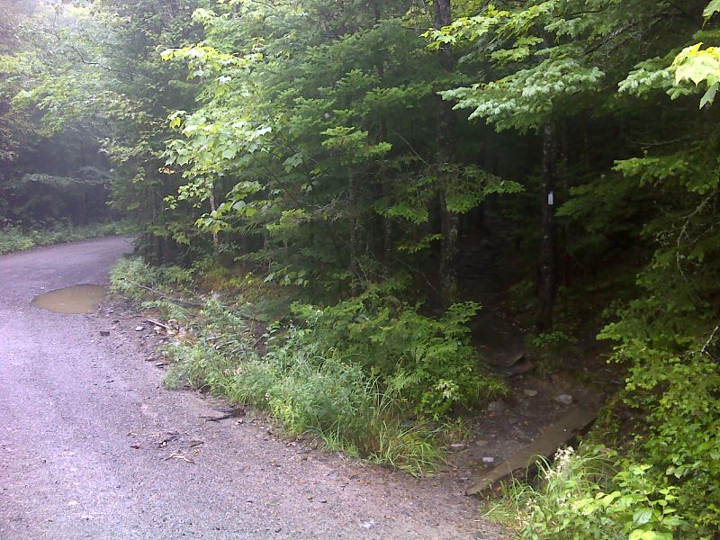 mm 31.5 Trail crosses unnamed gravel road.  GPS 44.8925 W70.5351  Courtesy pjwetzel@gmail.com