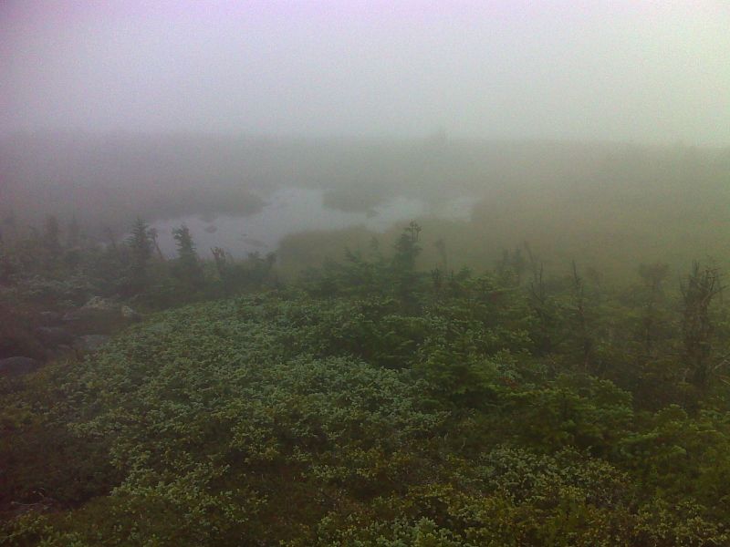 Pond in the fog near summit of Saddleback Mt. GPS N44.9346 W70.5072  Courtesy pjwetzel@gmail.com