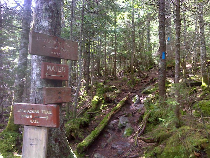 mm 13.5  Side trail to summit of Spaulding Mt. Lean-to.  GPS N44.9961 W70.3411  Courtesy pjwetzel@gmail.com
