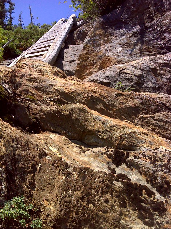 Ladder on south slopes of Goose Eye Mt. GPS 44.5022 N70.9978  Courtesy pjwetzel@gmail.com