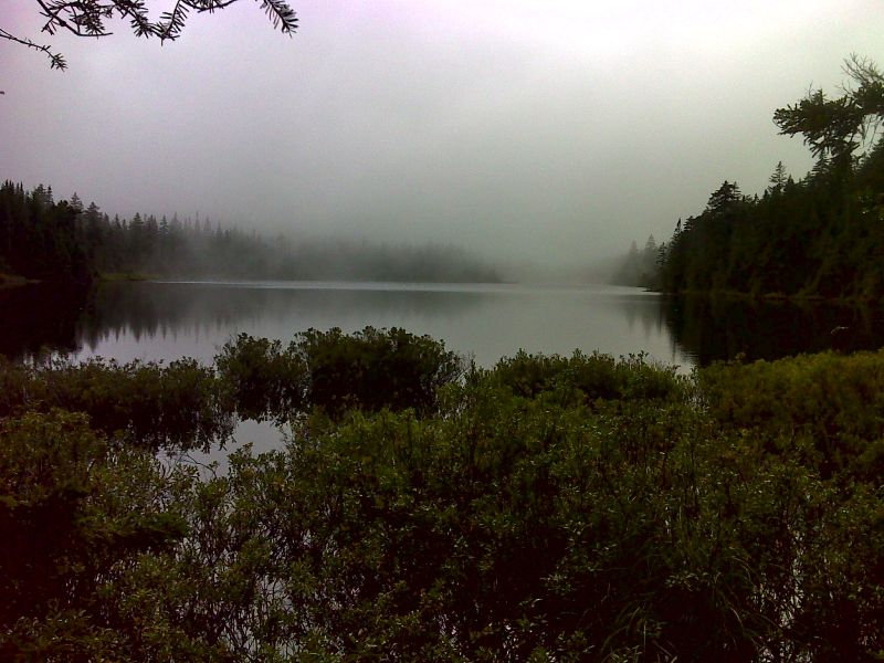 mm 6.9 Dream Lake in misty fog. GPS N44.4439 W71.0935  Courtesy pjwetzel@gmail.com
