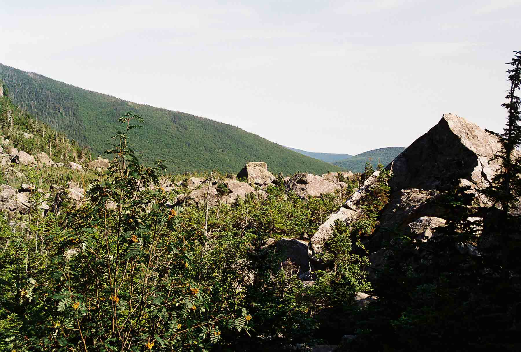 mm 15.2 - The Ramparts, a massive jumble of rocks, located just to the east of Carter Notch Hut. View is to the east.  Courtesy dlcul@conncoll.edu