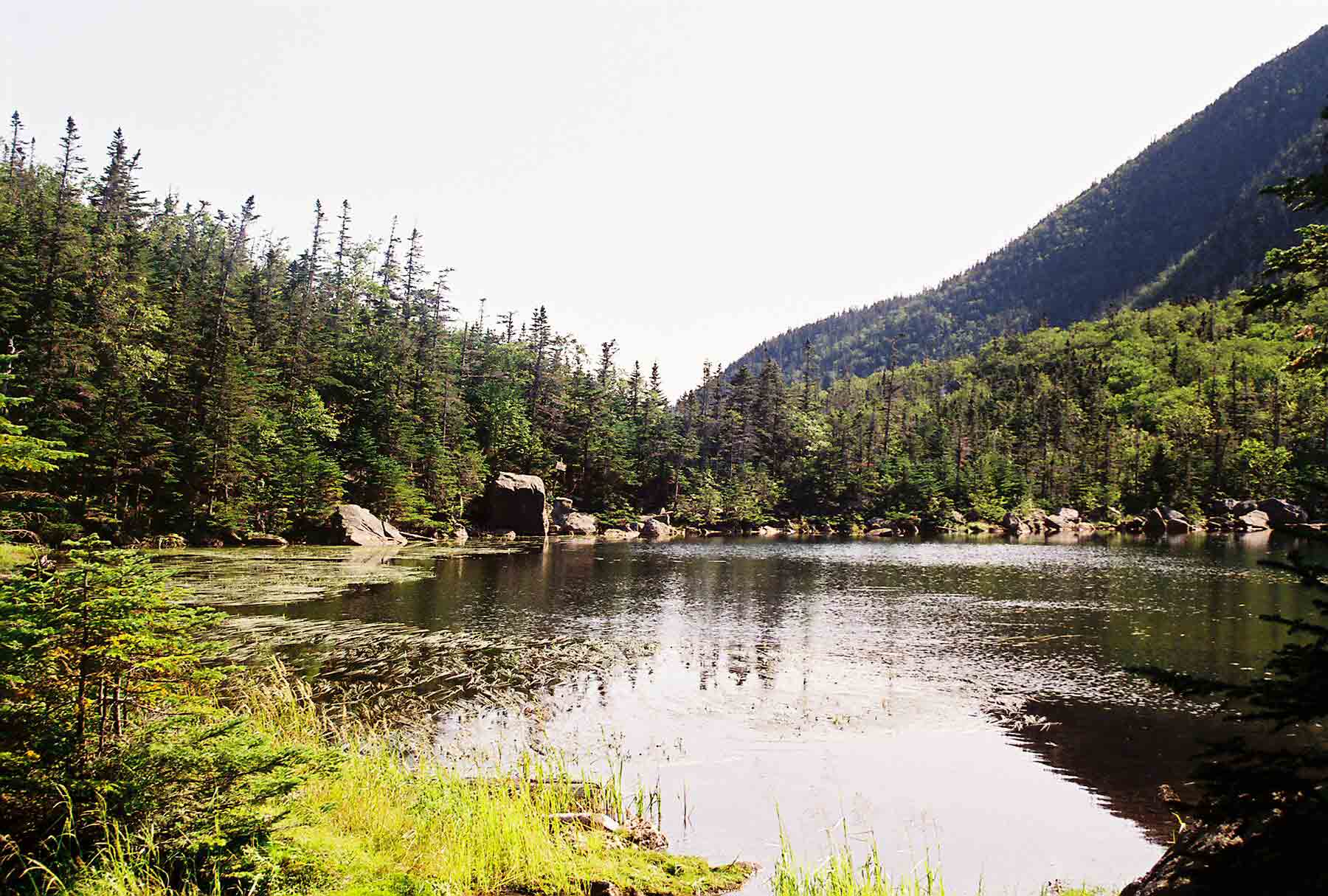 mm 15.2 - The more western of the two ponds in Carter Notch. Carter Notch Hut is in woods at far end of the pond. This picture was taken from the AT.  Courtesy dlcul@conncoll.edu