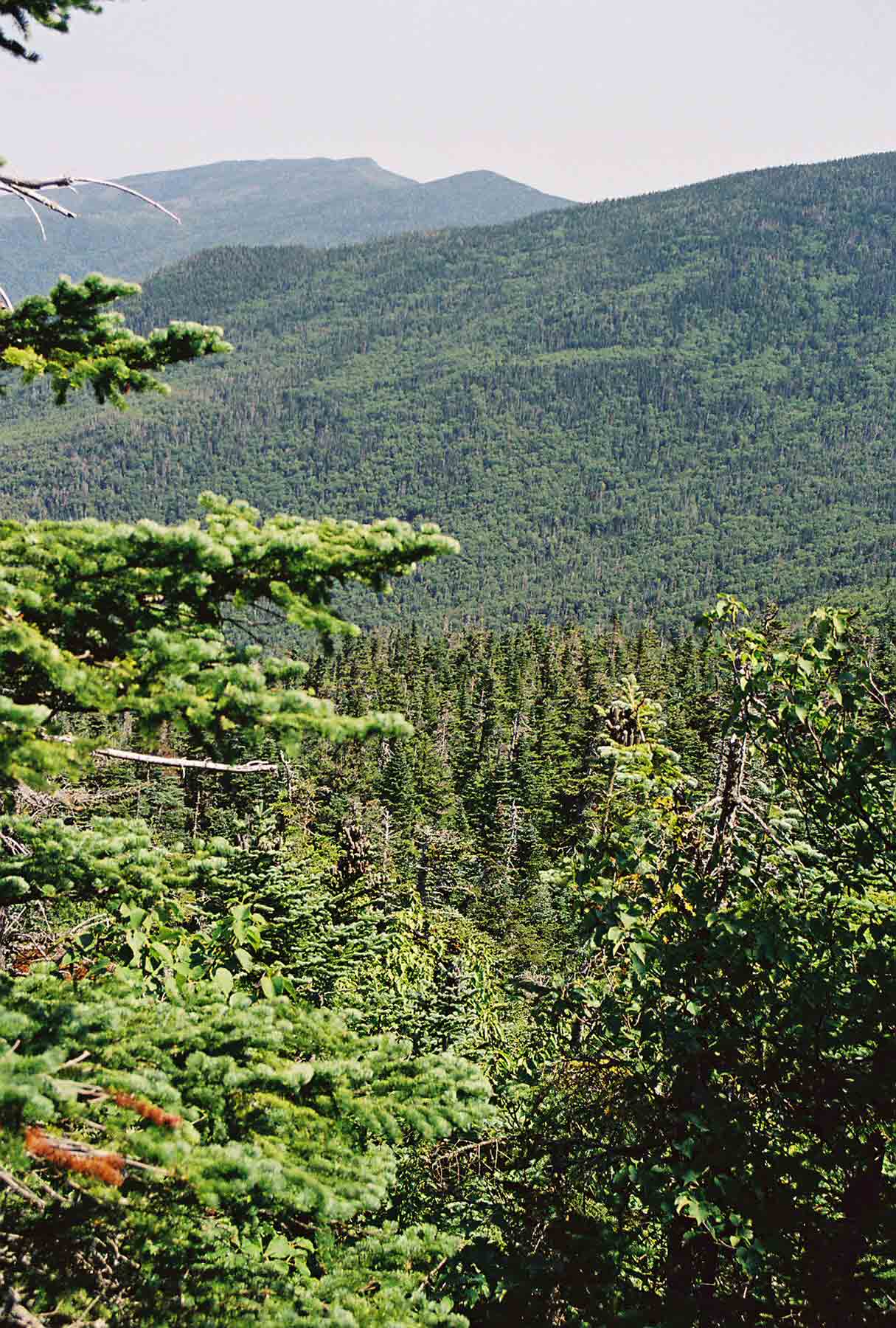 mm 18.1 - Looking south from observation tower on Wildcat D (Aug '04). Courtesy dlcul@conncoll.edu