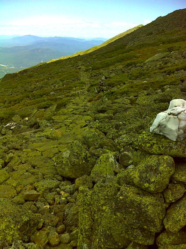 Section of extensive trail work on slopes of Mt. Adams.  The AT follows the Gulfside Trail from Madison Hut almost to the summit of Mt. Washington.  N44.3243 W71.2912  Courtesy pjwetzel@gmail.com