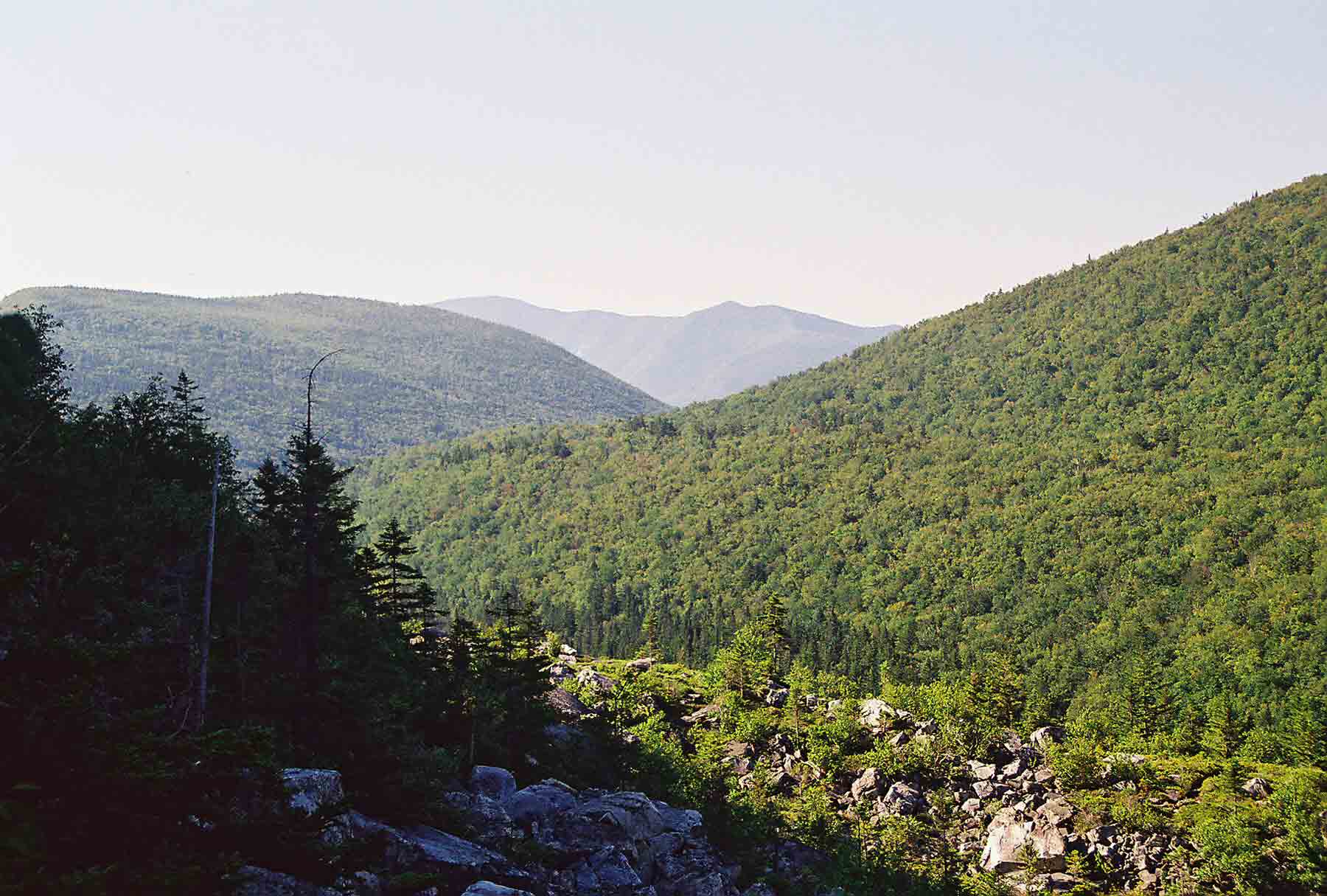 mm 6.2 - View south through Zealand Notch from junction of AT (Ethan Pond Trail) and the Zeacliff Trail. Courtesy dlcul@conncoll.edu